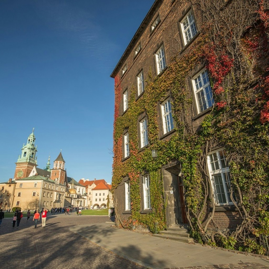 瓦维尔城堡、大教堂和Rynek Krakow门票、导览游+午餐