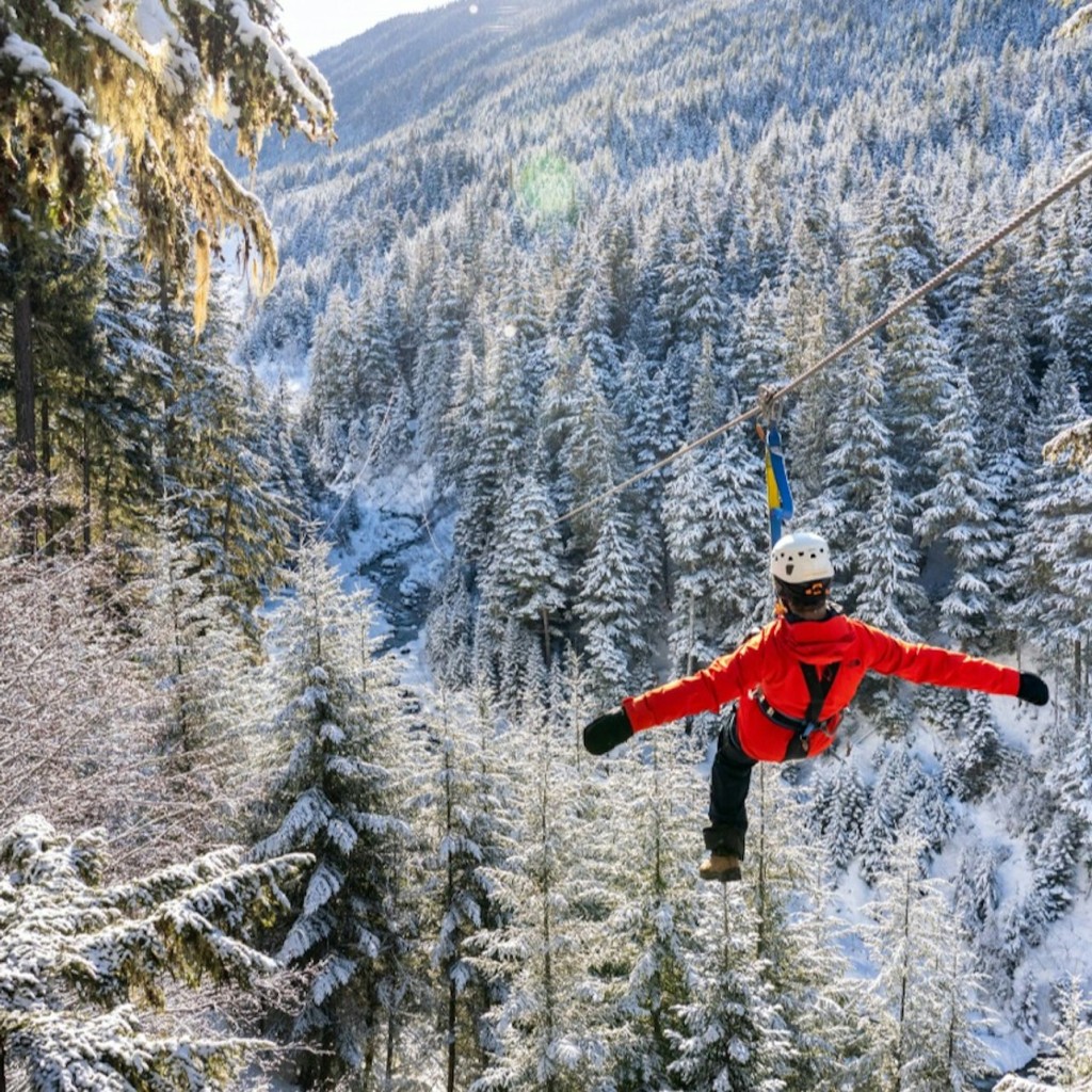 Whistler Ziptrek Ecotours: Zipline Adventure