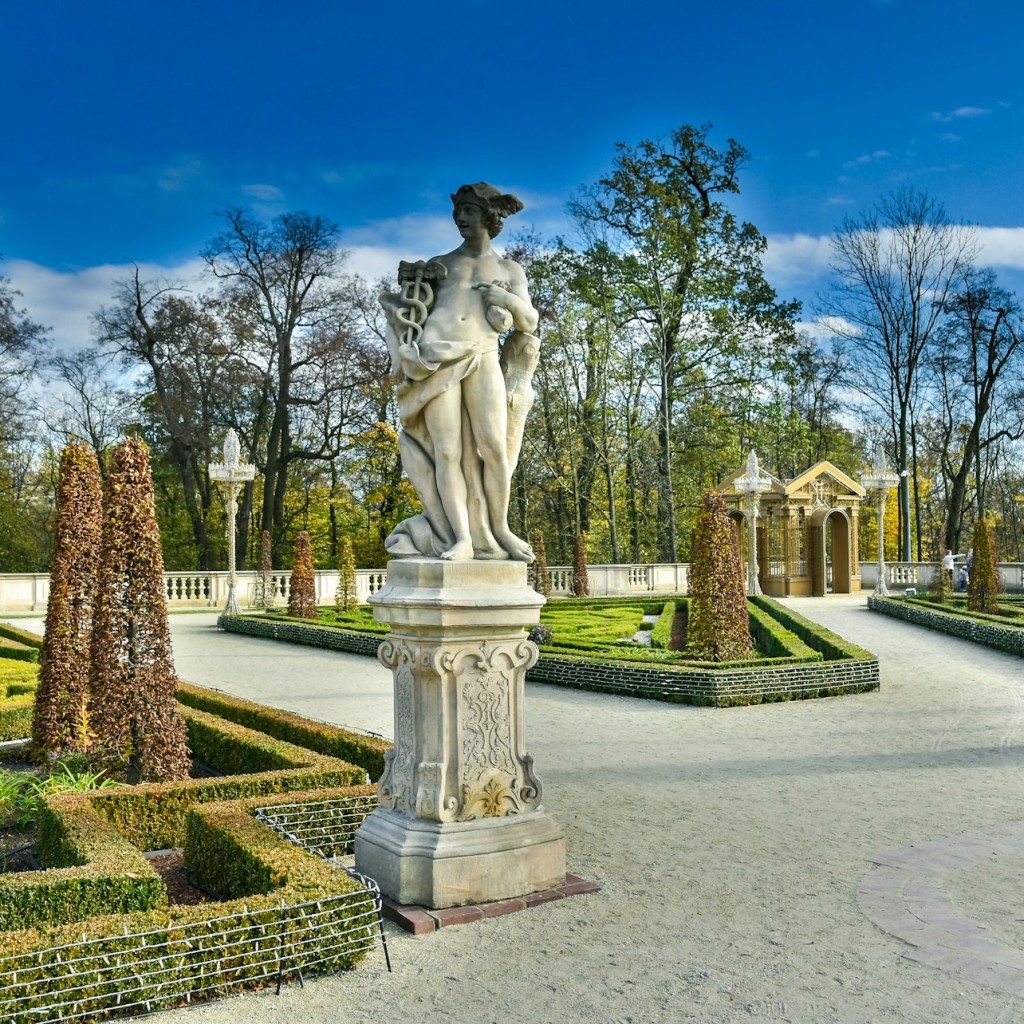 Palau de Wilanów: Tiquet sense cues + Visita guiada privada
