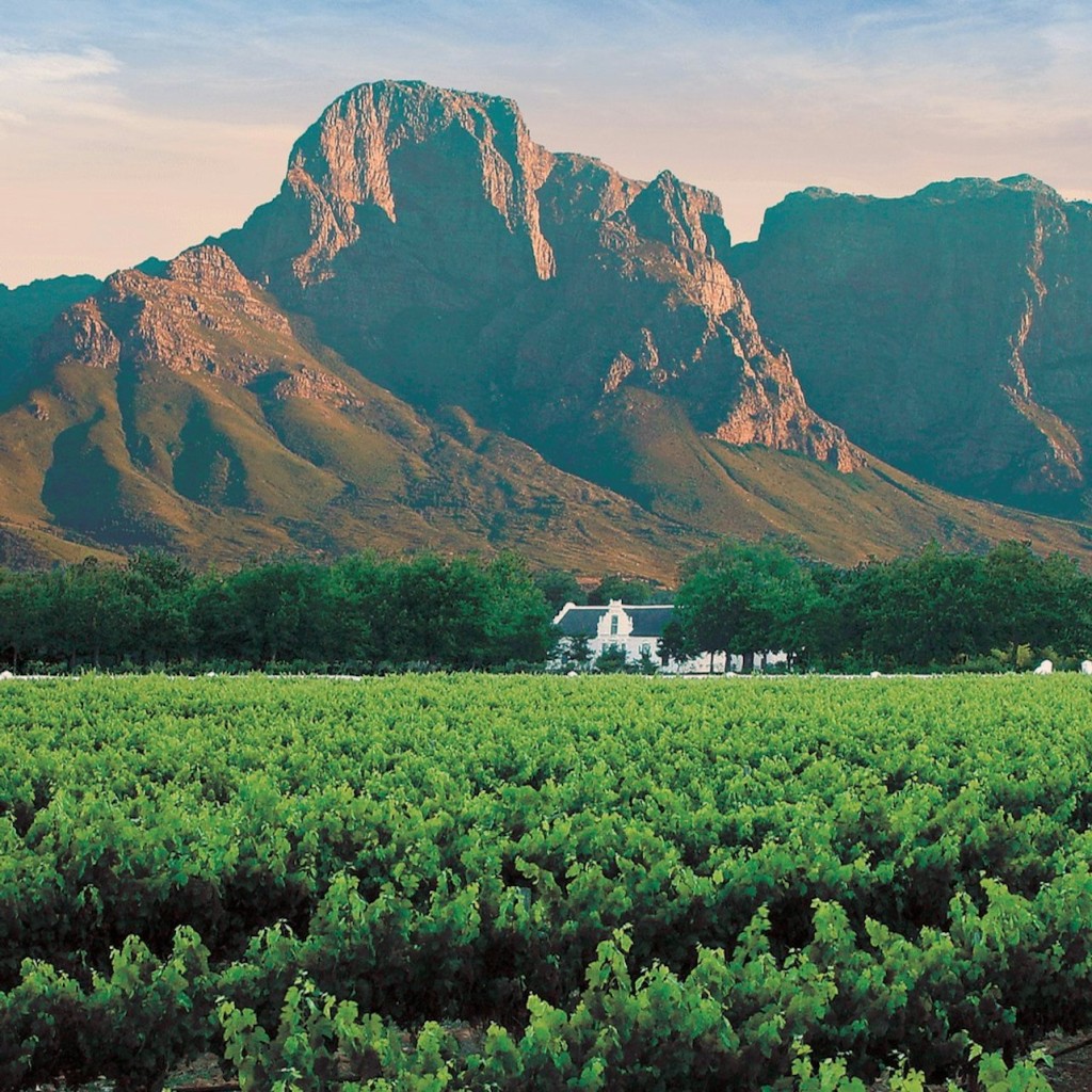 Winelands & Stellenbosch-Franschhoek: prywatna wycieczka degustacyjna wina