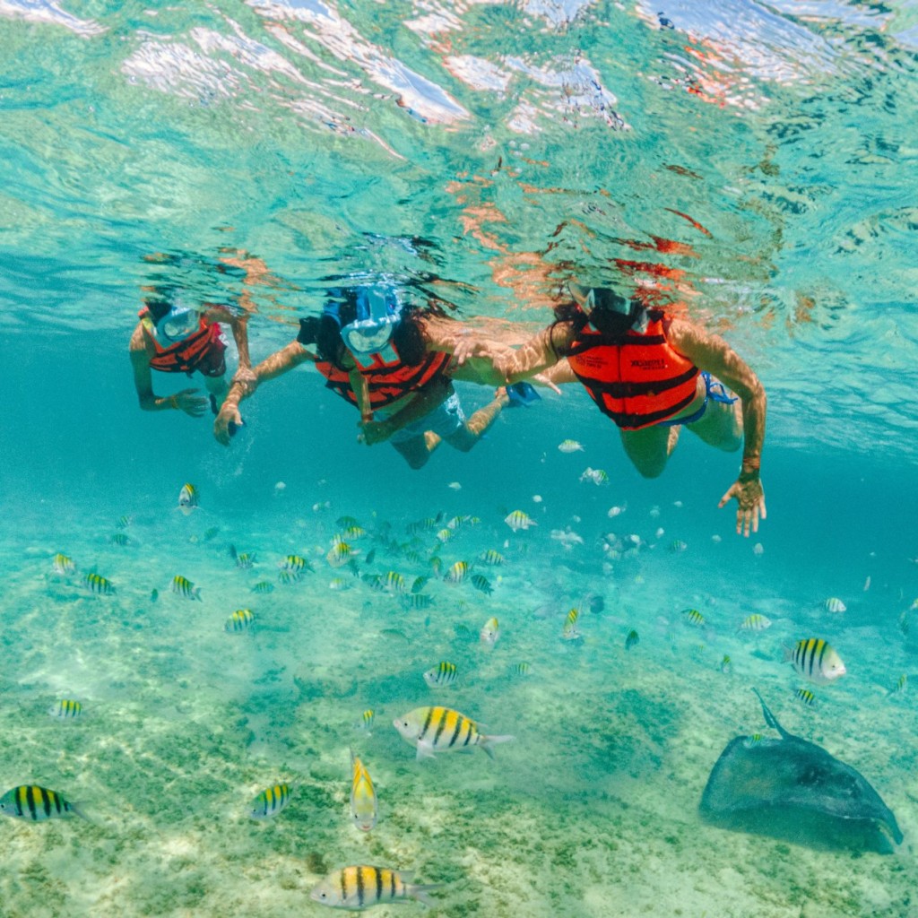 엑스케어트 파크: 입장권 - Xcaret PLUS