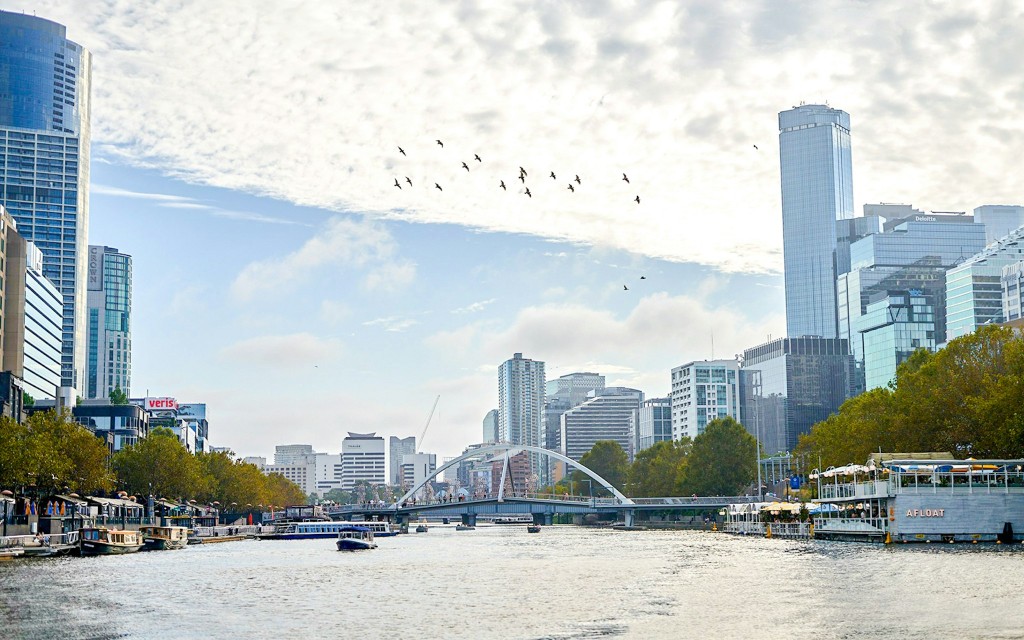 1-stündige Yarra River Sightseeing-Bootsfahrt (1-Hour Yarra River Ports & Docklands Cruise) - 2