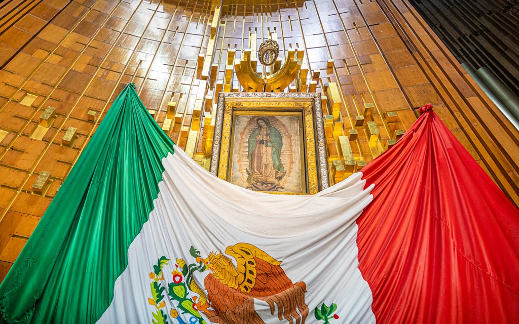 Tour di 2 giorni di Città del Messico: Teotihuacán, basilica, museo Frida Kahlo, Xochimilco e Coyoacán (Pickup from Mexico City) - 3