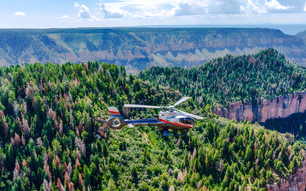 25-min Grand Canyon National Park Helicopter Tour with Optional Hummer Tour (From South Rim: Standard Helicopter Tour, 25-min) - 3