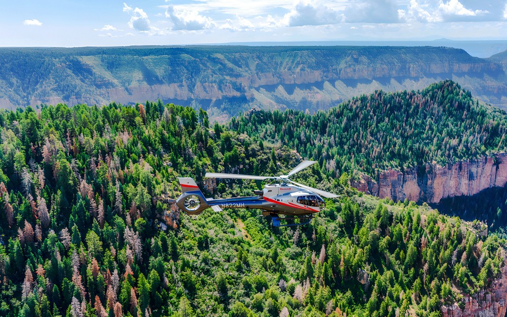 45-min Grand Canyon National Park Helicopter Tour with Optional Hummer Tour (From South Rim: Premium Helicopter Tour, 45-min) - 3