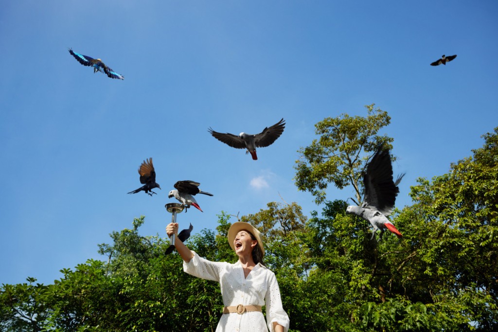 5-in-1 Day Pass: Night Safari + Singapore Zoo + Bird Paradise + River Wonders + Rainforest Asia ([FIXED-DATED] 5-in-1 Day Pass : Night Safari + Singapore Zoo + Bird Paradise + River Wonders + Rainforest Asia (International Travellers)) - 2