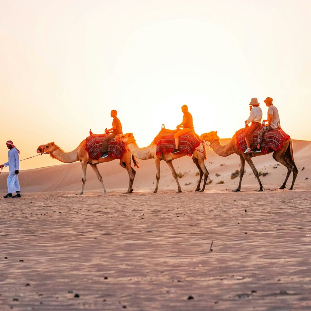 Abu Dhabi: Poranne safari na pustyni - 3