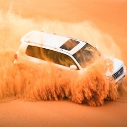 Abu Dhabi : Safari dans le désert au lever du soleil + transfert aller-retour - 2
