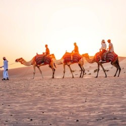 Abu Dhabi : Safari dans le désert au lever du soleil + transfert aller-retour - 3