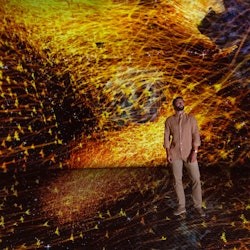 Abu Dhabi: teamLab Phenomena - 2
