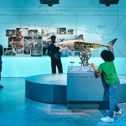 Academy Museum of Motion Pictures: Tiquet d'entrada - 3