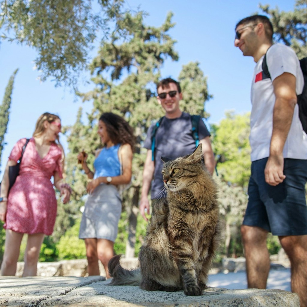 Acrópole de Atenas: bilhete sem filas + tour guiado - EU Citizen - 1