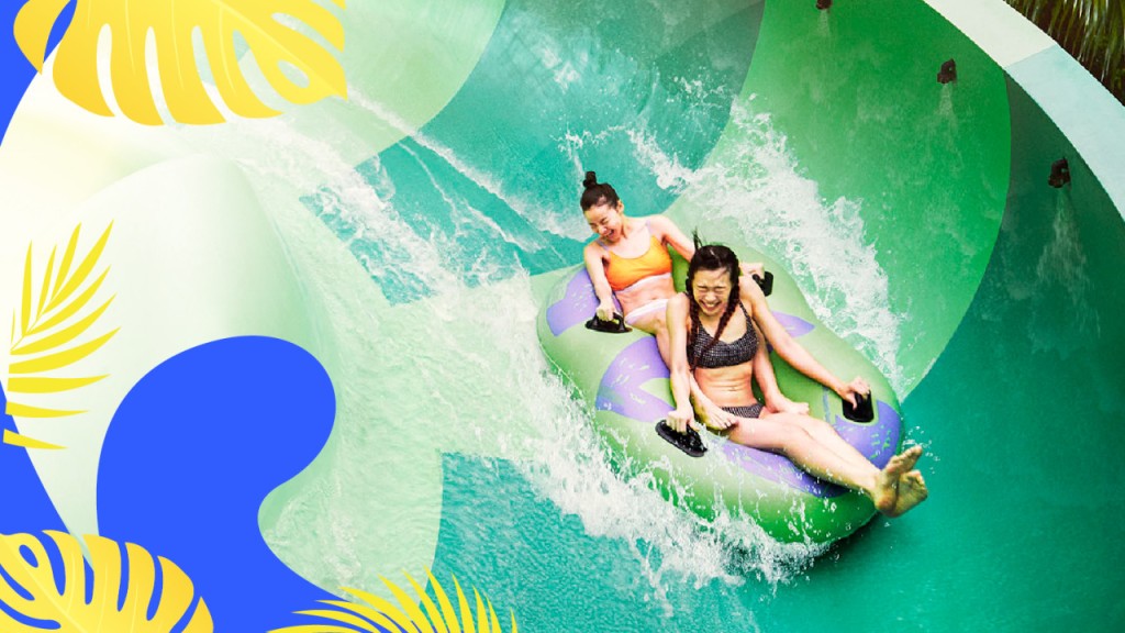 Dolphin Experiences at Marine Mammal Habitat Sentosa (Dolphin Observer + Adventure Cove Waterpark Ticket) - 2