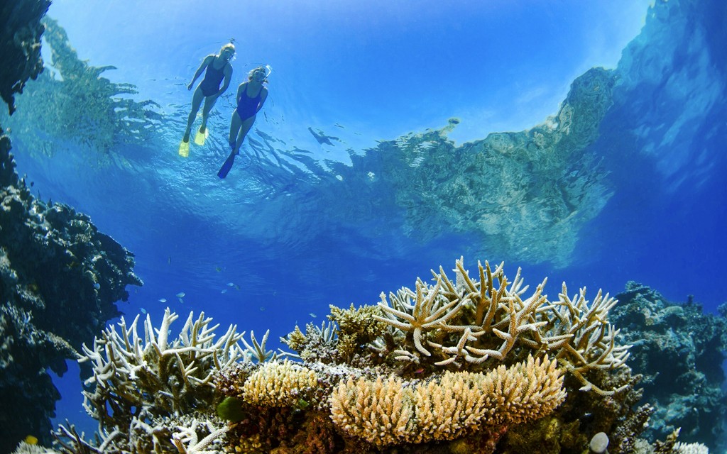 Airlie Beach: Outer Great Barrier Reef + Whitehaven Beach Schnorchel-Tour (Premium Whitsundays Islands Sail & Snorkel Tour) - 1