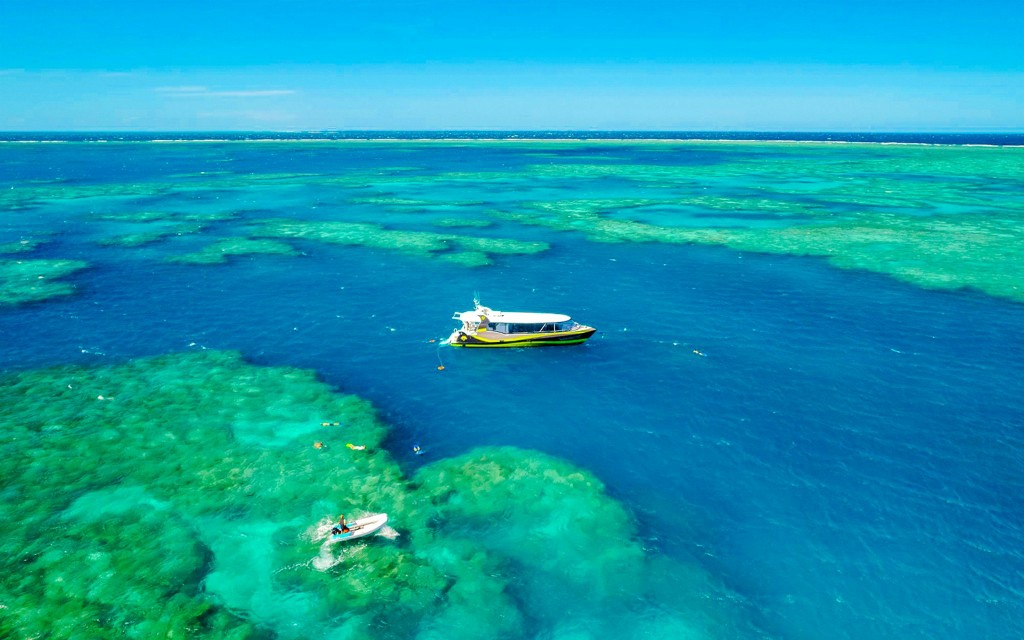 Airlie Beach: Outer Great Barrier Reef + Whitehaven Beach Schnorchel-Tour (Premium Whitsundays Islands Sail & Snorkel Tour) - 2