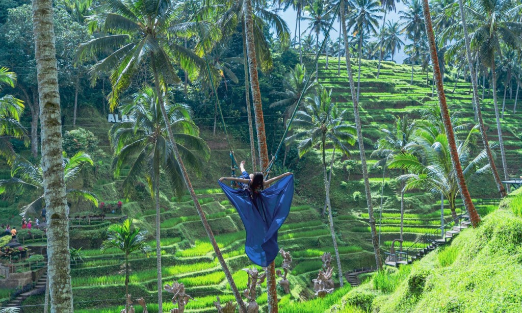 Alas Harum Bali: Swing, Skybike, and Zipline (Admission + Coffee Tour) - 1