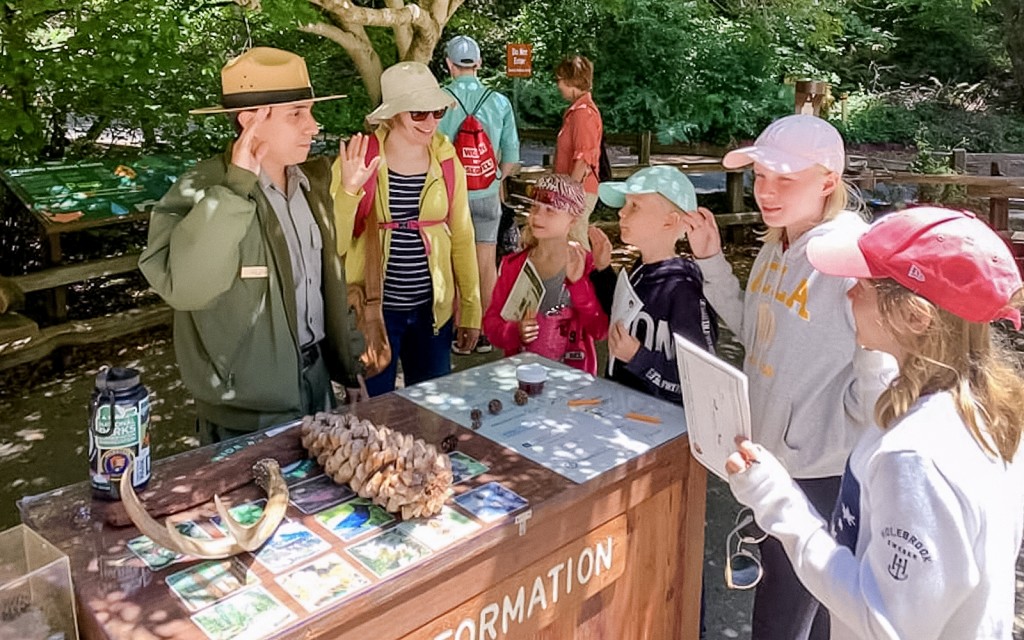 Alcatraz Tour with Muir Woods and Sausalito (Alcatraz Tour with Muir Woods and Sausalito) - 1