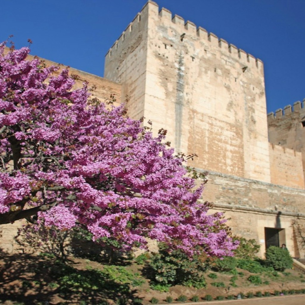 Alhambra: Guided Exterior Tour - 1