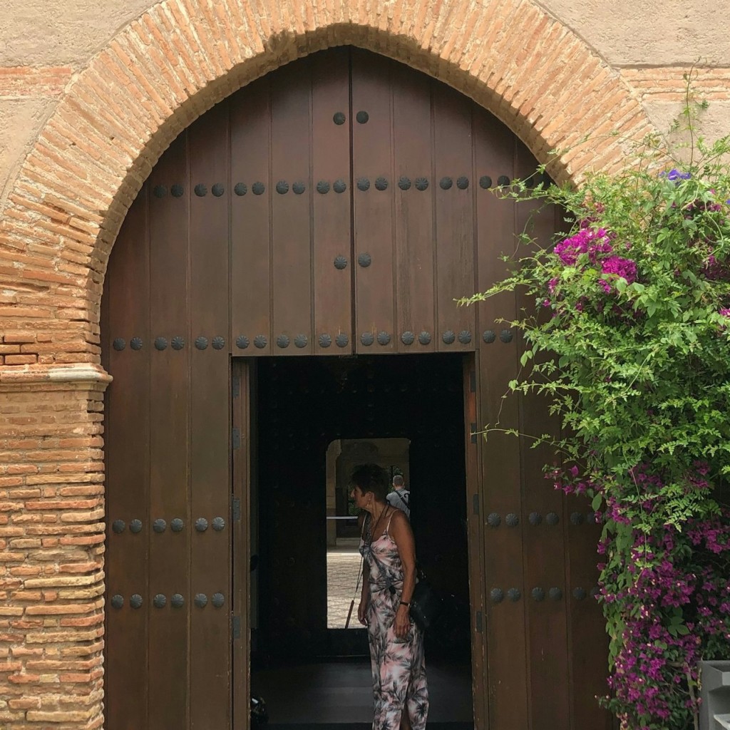 Alhambra: Guided Exterior Tour - 3