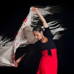 Alhambra: Guided Tour with Flamenco Show & Drink + Transport from Granada - 1