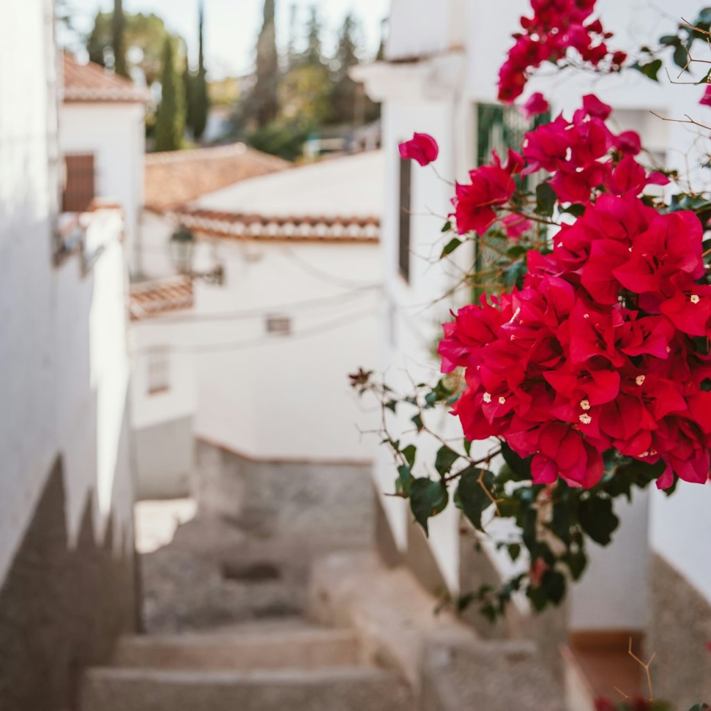 Alhambra, Nasrid Palaces, Albaicín & Sacromonte: Guided Tour - German Tour - 2