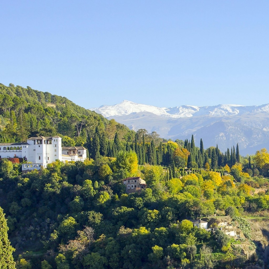 Alhambra: Skip The Line Ticket + Guided Tour - Spanish - 1