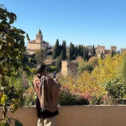 Alhambra: Small Group Guided Tour + Tastings - 2