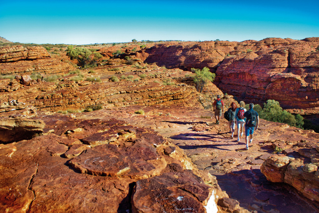 Alice Springs Reptile Centre and City Tour (Alice Springs Reptile Centre Half Day Tour) - 3