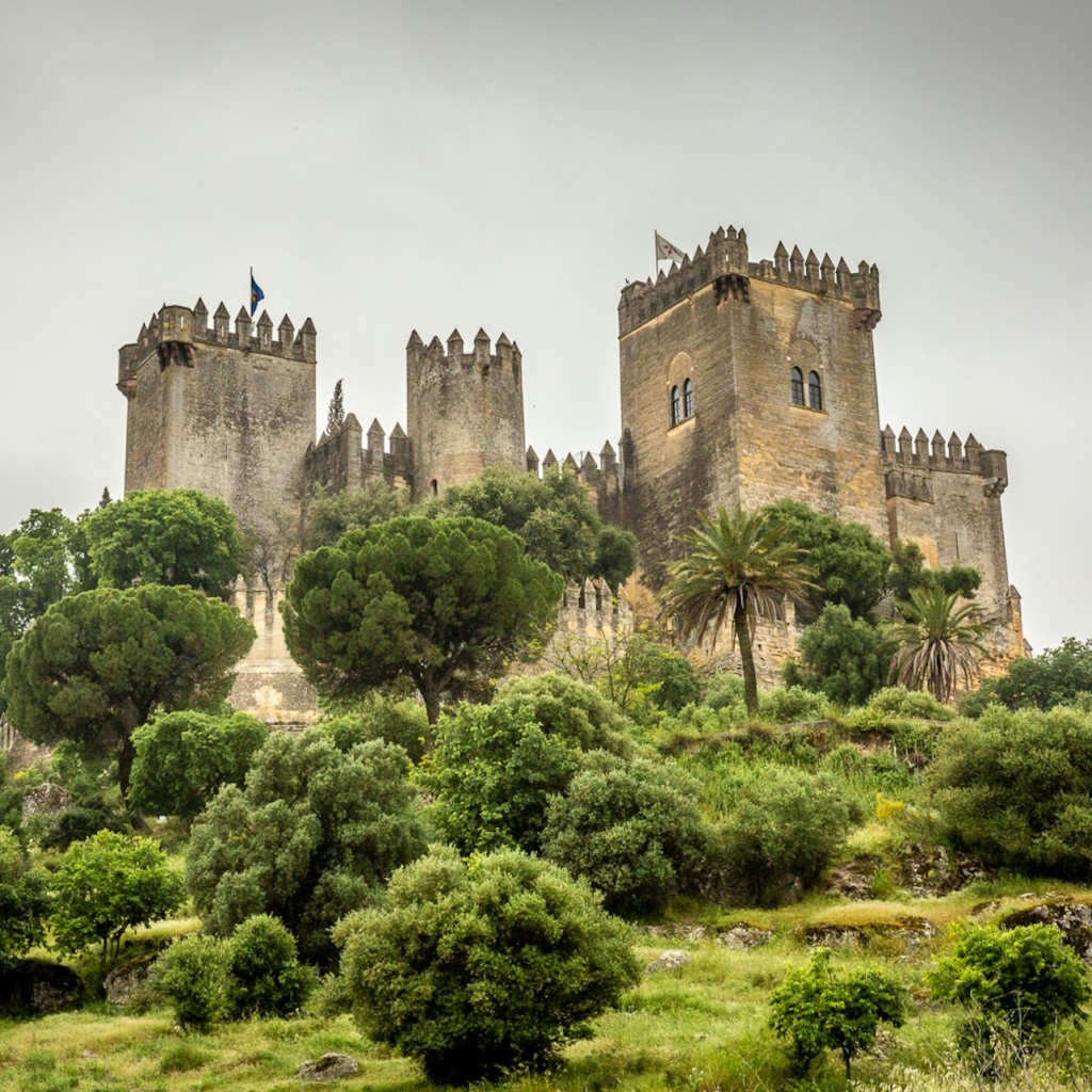 Castillo de Almodóvar: Entrada - 3