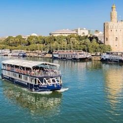 Alsa Sevilla: tour en bus turístic de 48 hores + creuer + visita guiada - 2