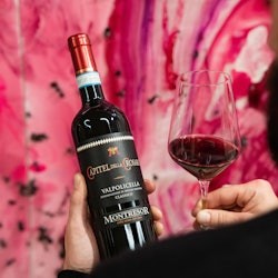 Experiència vitivinícola Amarone al celler Montresor - 1