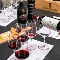 Experiència vitivinícola Amarone al celler Montresor - 2