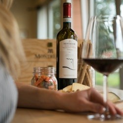 Experiència vitivinícola Amarone al celler Montresor - 3
