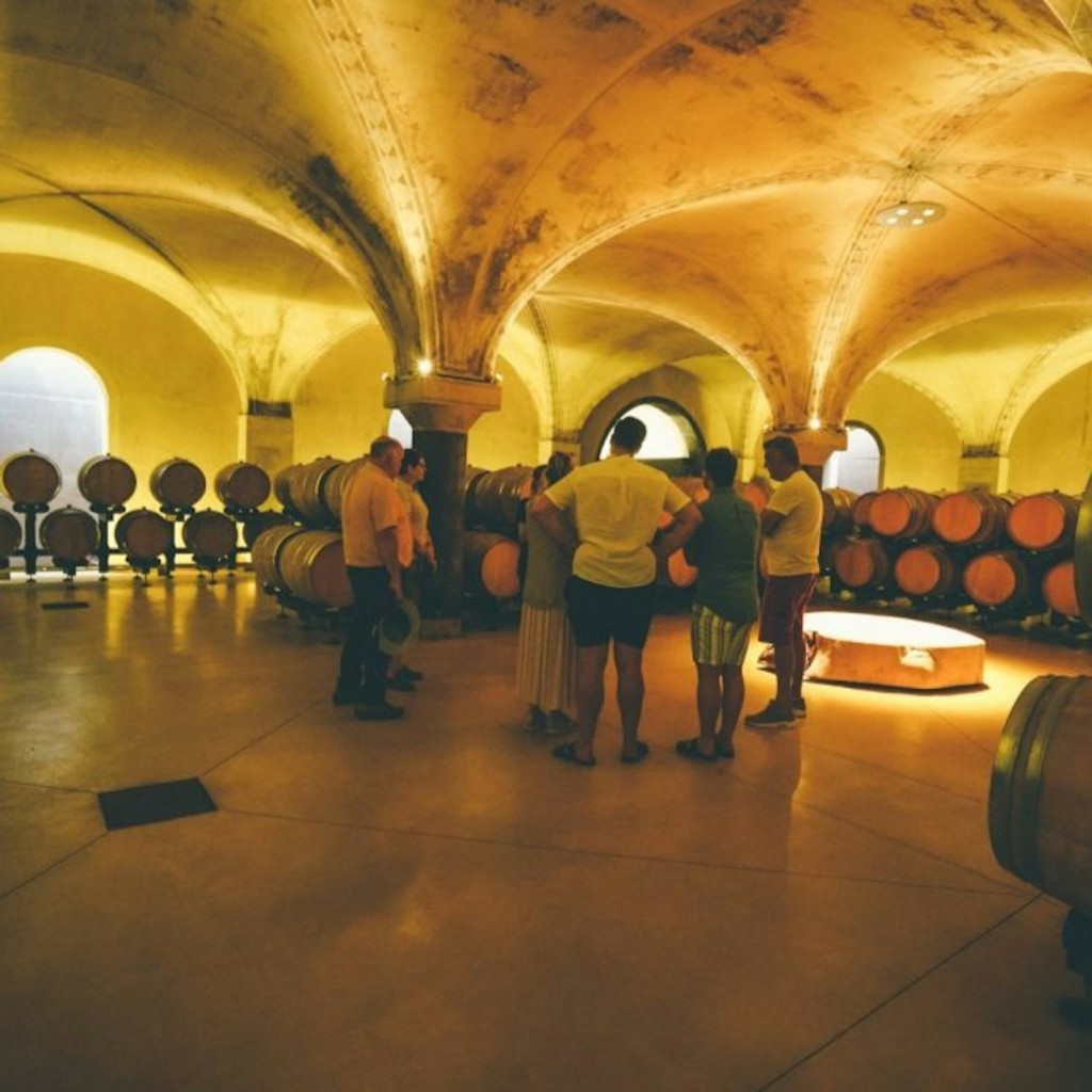 Ruta de tast de vins d'Amarone des de Verona - 3