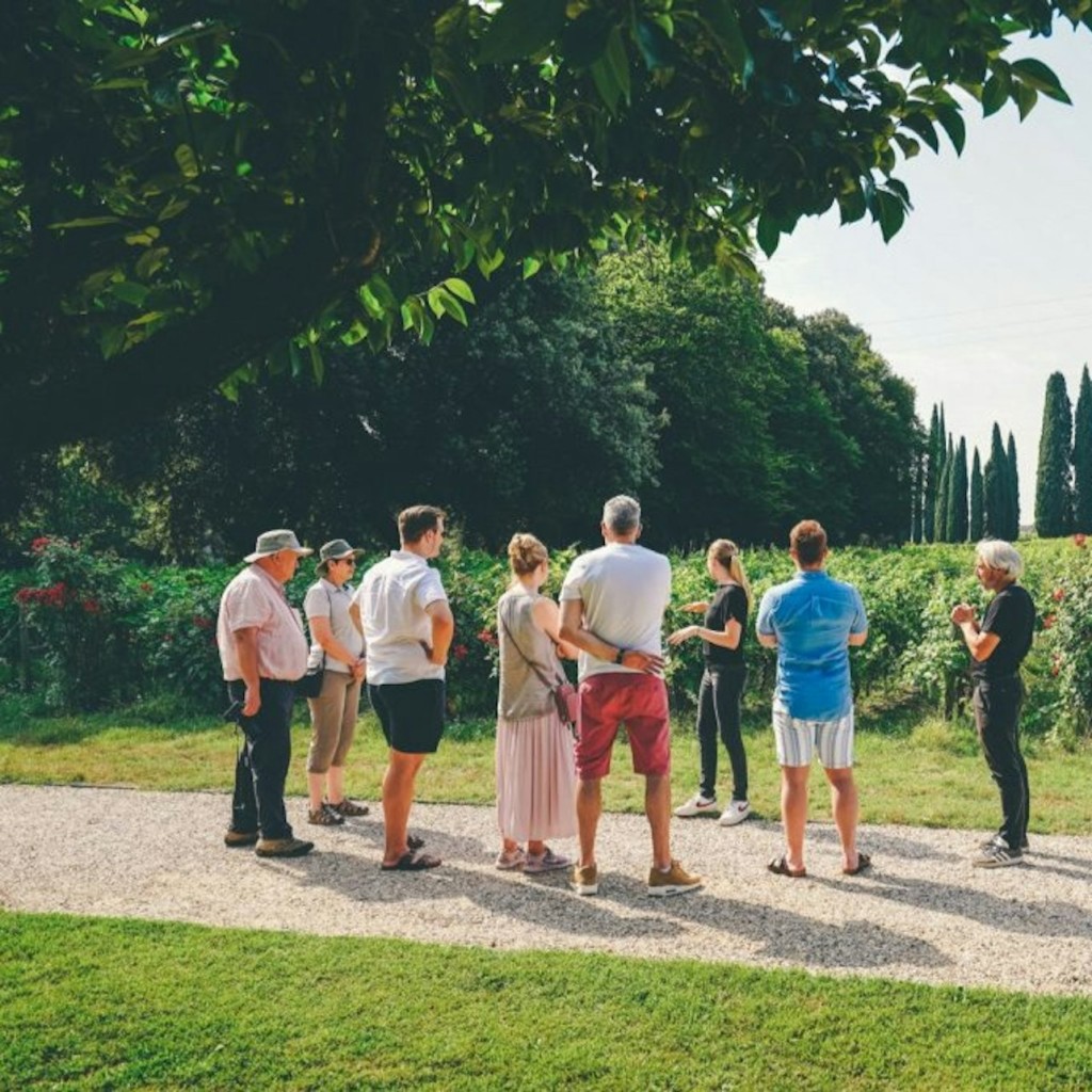 Ruta de tast de vins d'Amarone des de Verona - 2