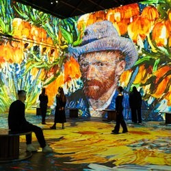 Experiencia Inmersiva AMAZE + Fabrique des Lumieres - 2
