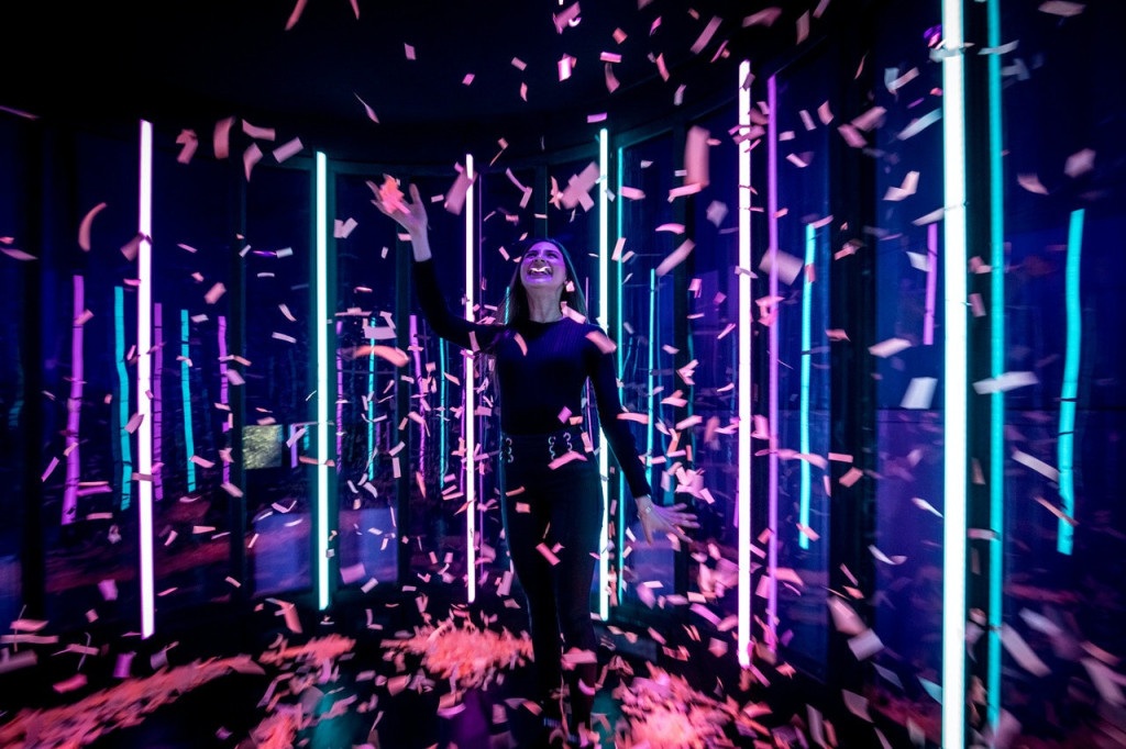 AMAZE: The Immersive Experience (AMAZE: The Immersive Experience - Admission) - 2