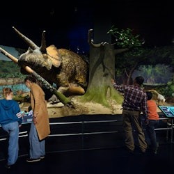American Museum of Natural History (AMNH): All Ticketed Exhibitions - 1
