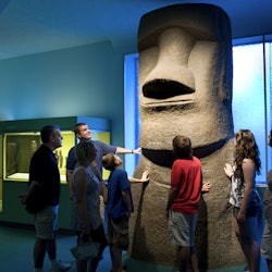 American Museum of Natural History (AMNH): Entry Ticket - 2