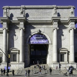 American Museum of Natural History (AMNH): Entry Ticket - 3