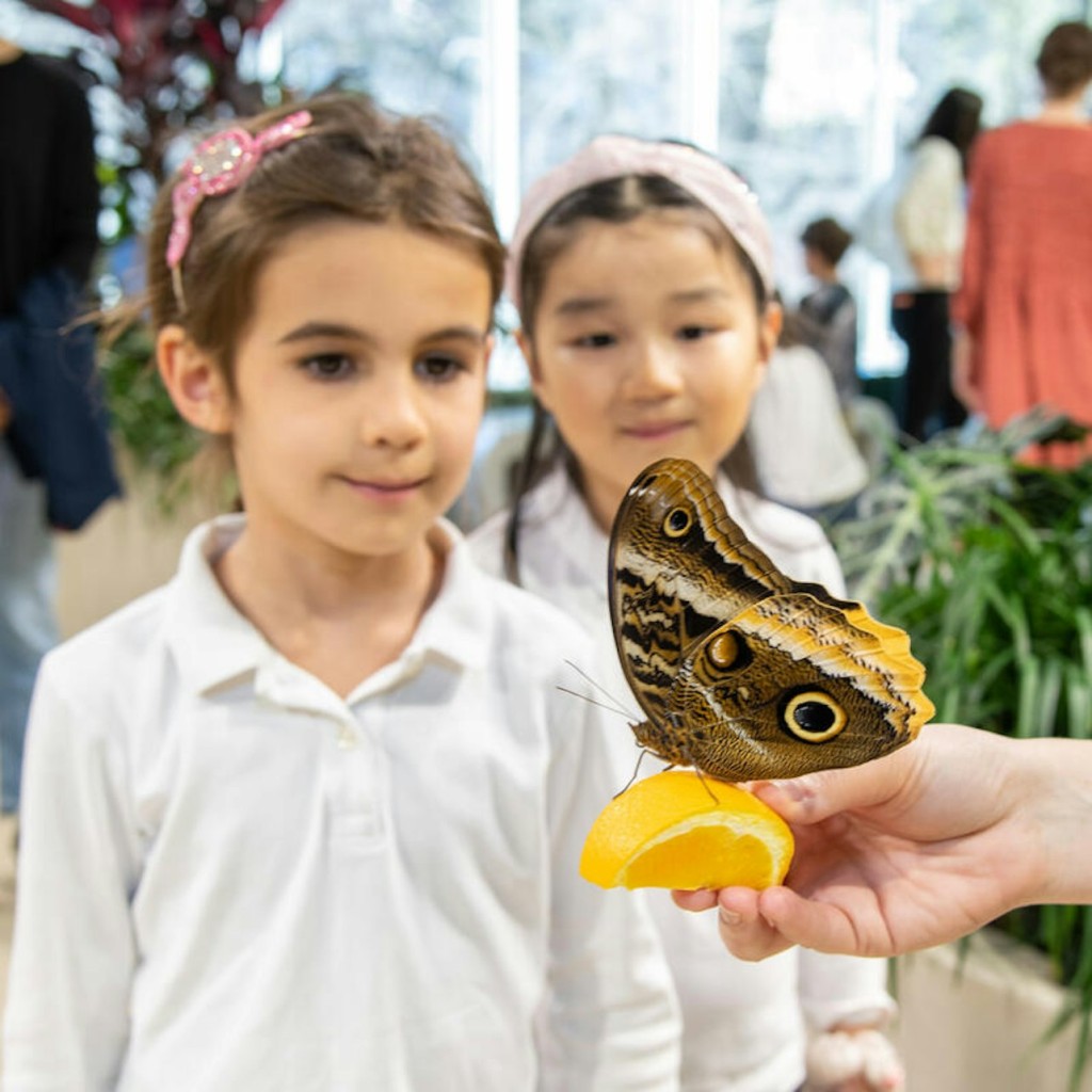 American Museum of Natural History (AMNH): Entry Ticket - General Admission - 1