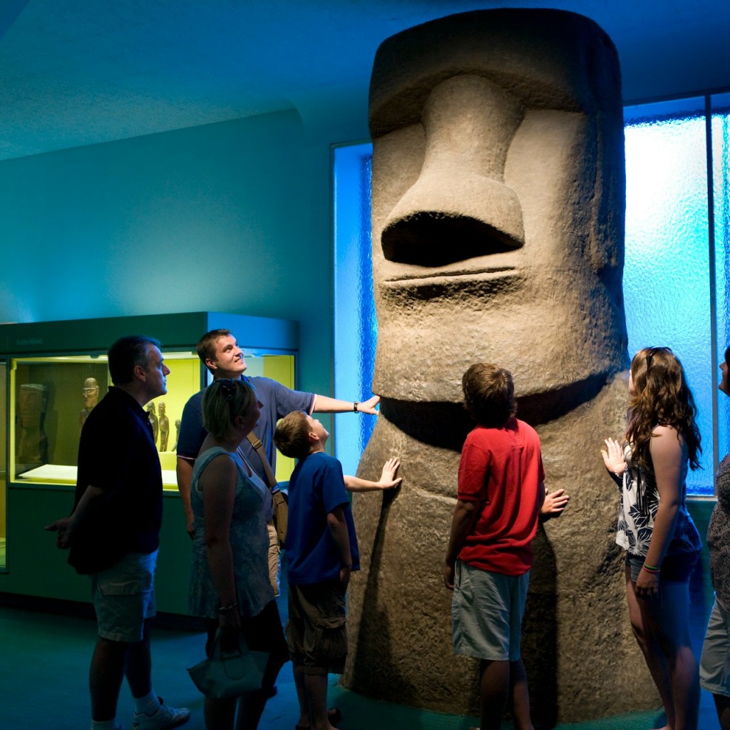 American Museum of Natural History (AMNH): Entry Ticket - General Admission - 2
