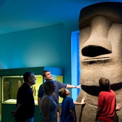 American Museum of Natural History (AMNH): Plus One Ticket - 2