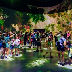 American Museum of Natural History (AMNH): Plus One Ticket - 3