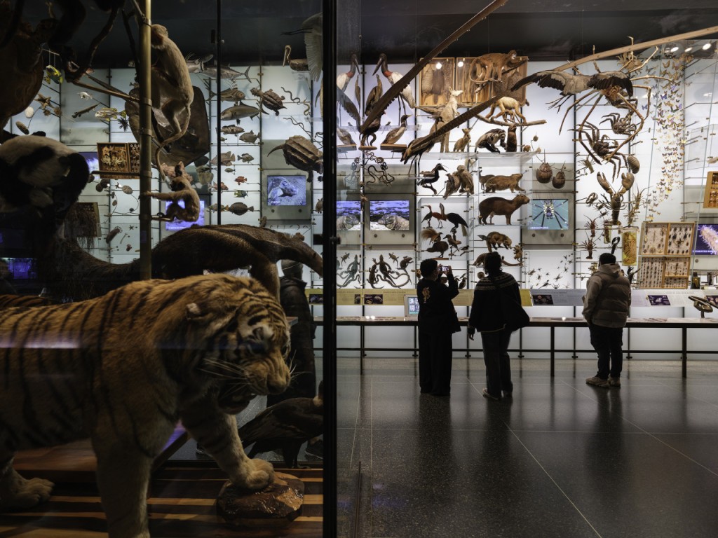 American Museum of Natural History Ticket (General Admission + 1 Exhibition) - 3