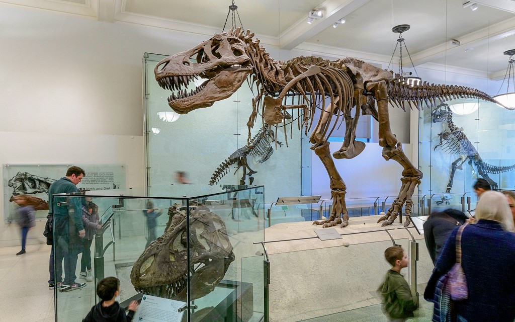American Museum of Natural History Tickets (General Admission) - 2