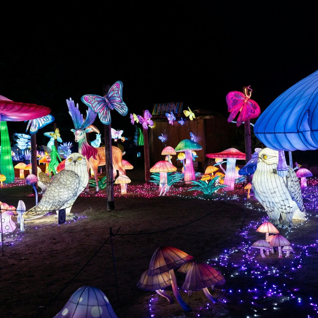 Entrada sin filas para Amnéville Zoo (Pase de 2 días) - 3