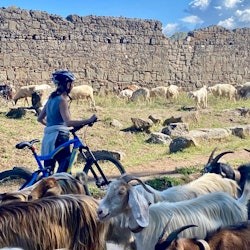 Appian Way: Excursió en bicicleta elèctrica fora de pista + Catacumbes + Menjar - 2