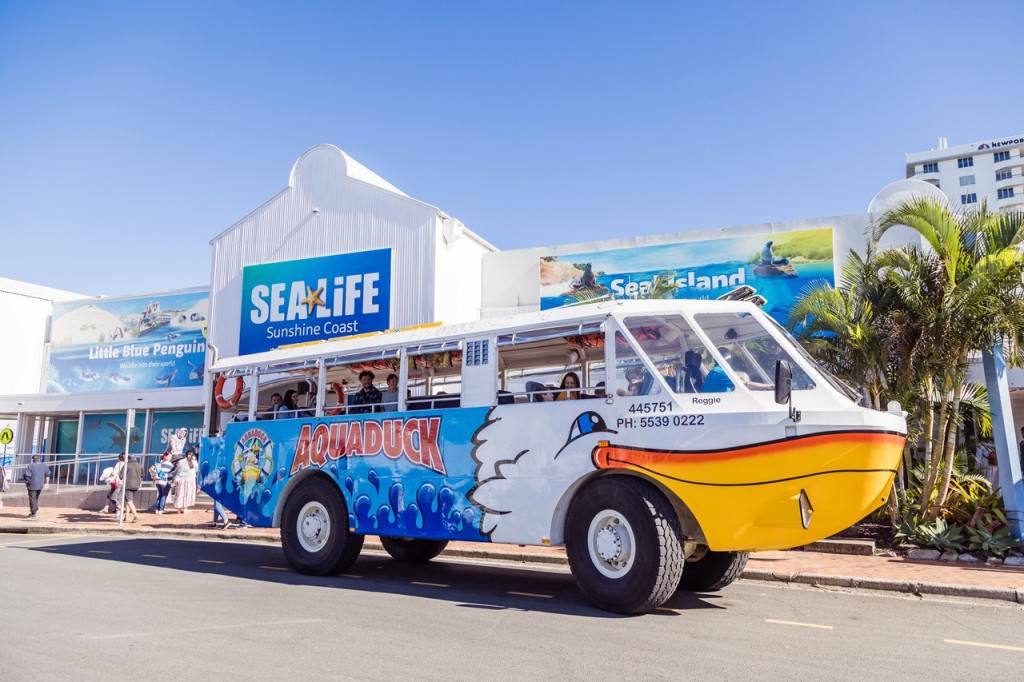 Aquaduck Sunshine Coast City and River Tour (1 Hour City Tour and River Cruise) - 3