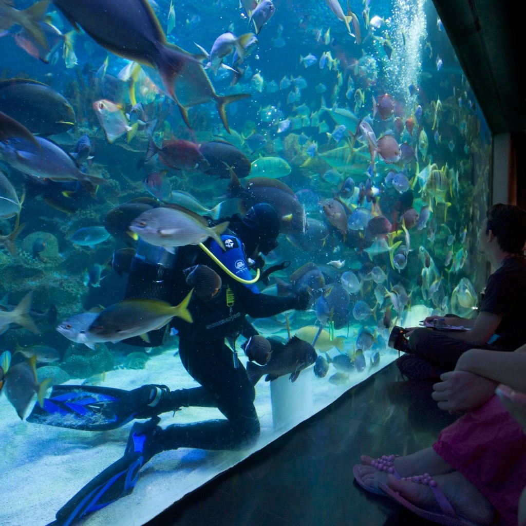 Aquaria KLCC: Entry Ticket - Malaysian Weekend & Public Holidays - 2